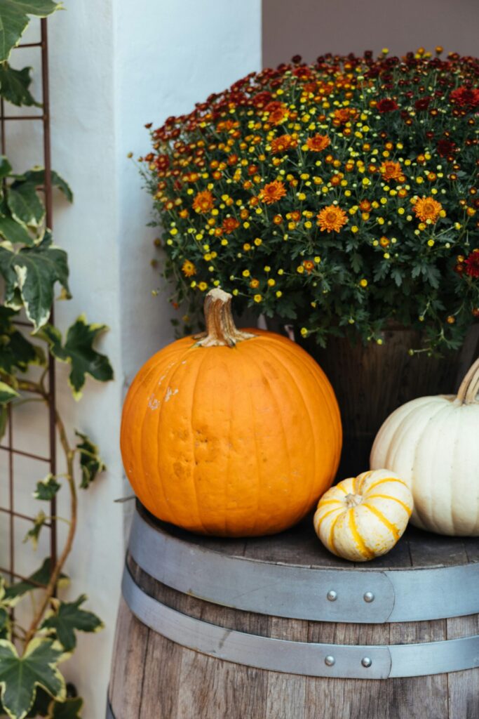 Barrel of Fall Goodness