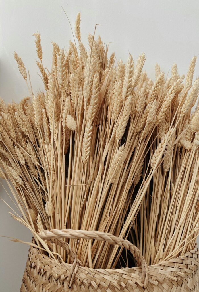 Dried Wheat Bundles
