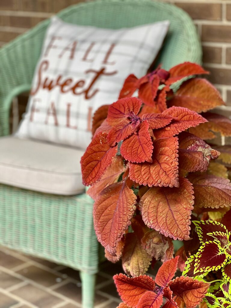 Fall-Themed Pillows
