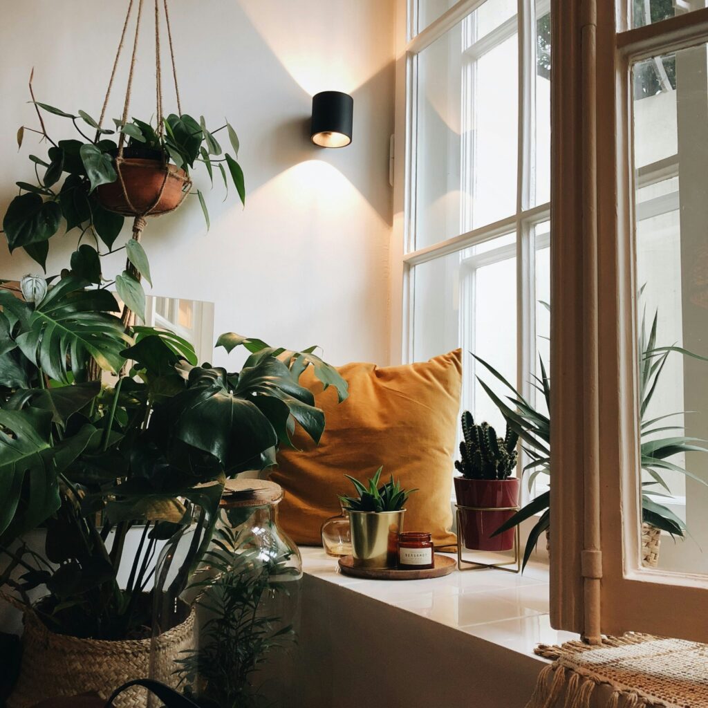 Green with Plants