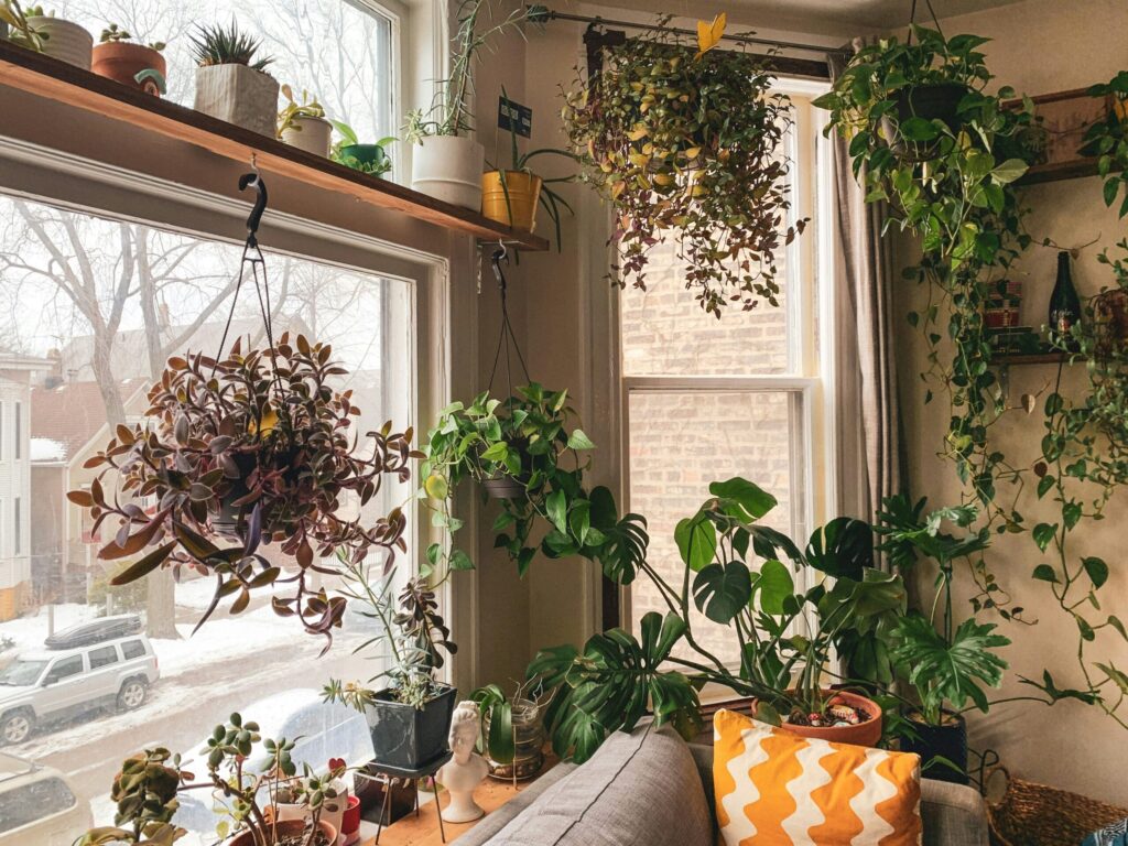 Greenery