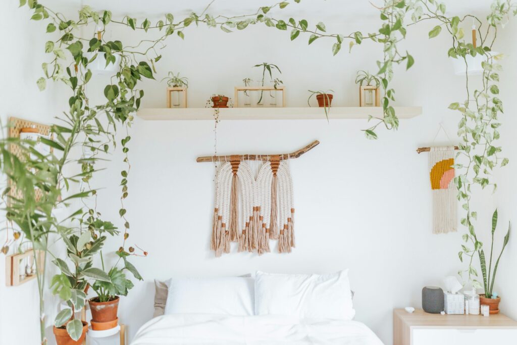 Indoors with Plants