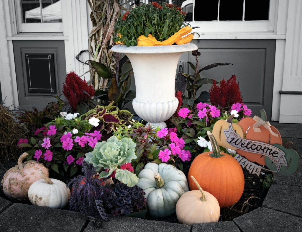 White and Neutral Themes