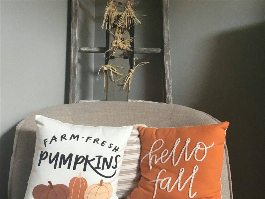 Seasonal Throw Pillows