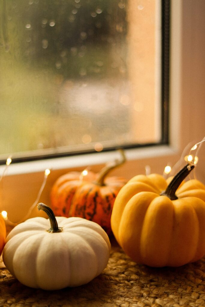 String Lights for a Cozy Glow